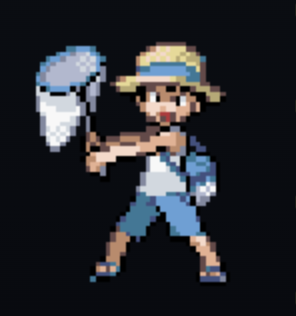Trainer